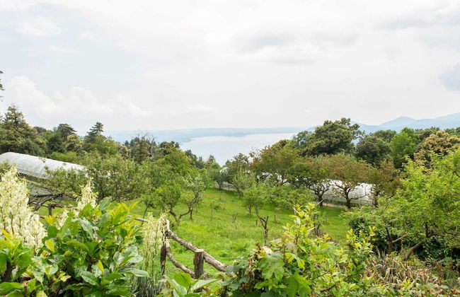 Farmhouse in Verbania With Lake Views - Foto 35