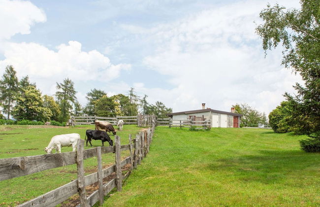 Farmhouse in Verbania With Lake Views - Foto 28