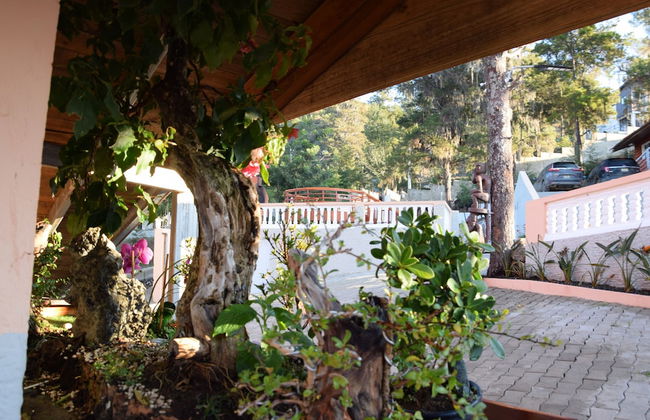 Los Altos de Constanza - Photo 2