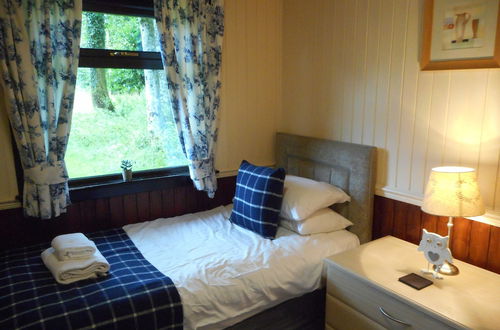 Foto 2 - Birch Lodge 22 With Hot Tub, Newton Stewart