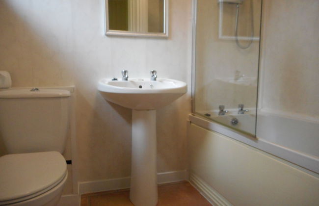 Birch Lodge 22 With Hot Tub, Newton Stewart - Foto 14