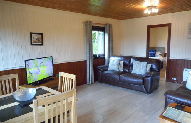 Birch Lodge 22 With Hot Tub, Newton Stewart - Foto 11