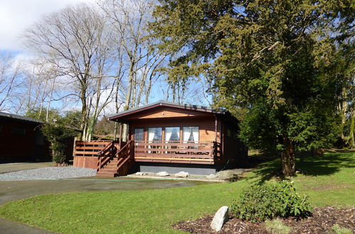 Foto 16 - Birch Lodge 22 With Hot Tub, Newton Stewart