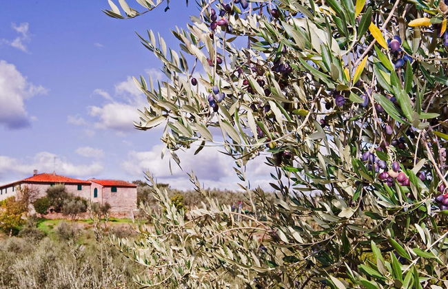 Tuscan Heaven; Vinci and Pistoia - Foto 27