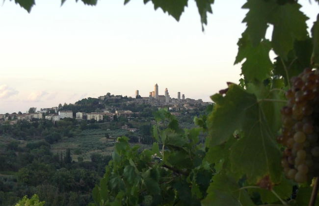 Agriturismo Il Casolare di Bucciano - Foto 34