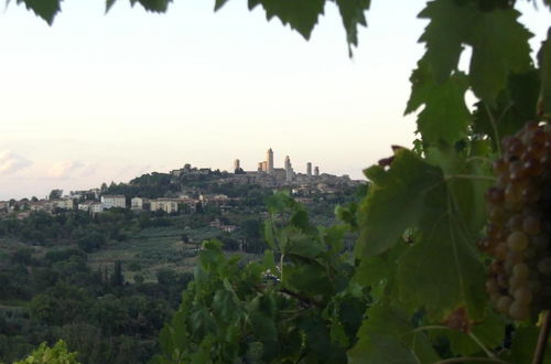 Photo 33 - Agriturismo Il Casolare di Bucciano