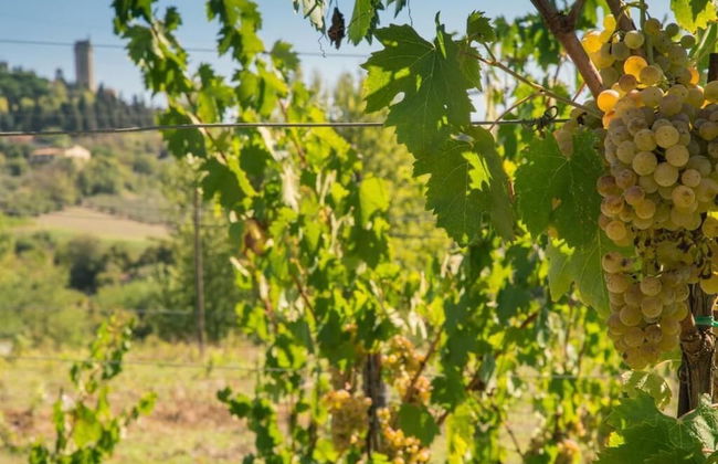 Agriturismo Il Casolare di Bucciano - Foto 40