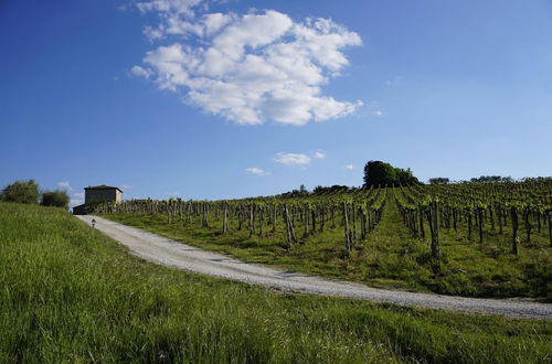 Foto 36 - Agriturismo Il Casolare di Bucciano