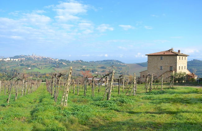 Agriturismo Il Casolare di Bucciano - Foto 39