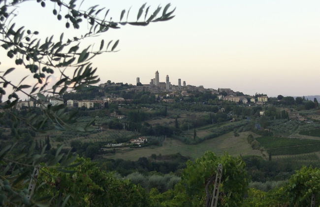 Agriturismo Il Casolare di Bucciano - Foto 53