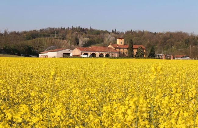 Agriturismo Tenuta Le Sorgive - Foto 1