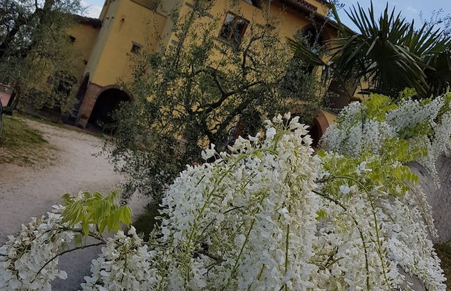 Agriturismo Il Poderaccio - Foto 51