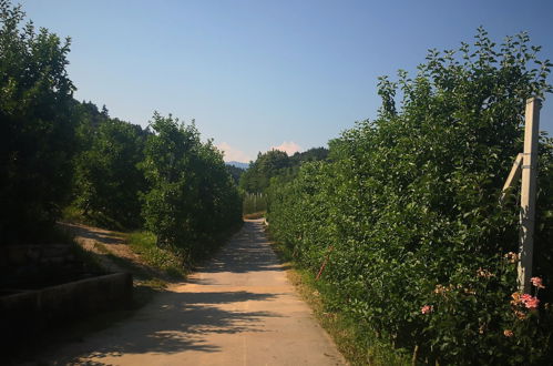 Foto 30 - Casa in tipico Maso, tra natura e tradizione