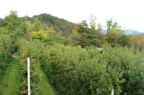 Photo 28 - Casa in tipico Maso, tra natura e tradizione