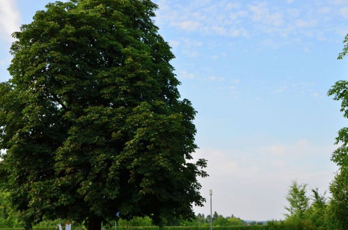 Photo 22 - Elevated Apartment in Bad Wildungen With Garden