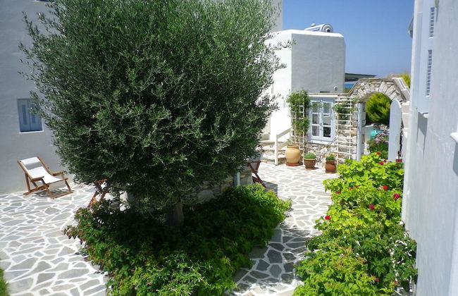 Liana Marouli - Photo 42