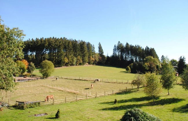 Wohnung in Brilon mit Kleinem Garten - Foto 33