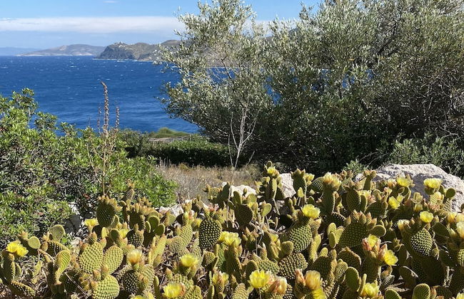 Charming Chateau BY THE SEA - Foto 15