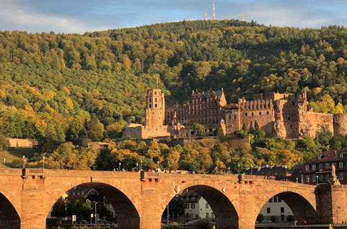 Photo 28 - Boardinghotel Heidelberg