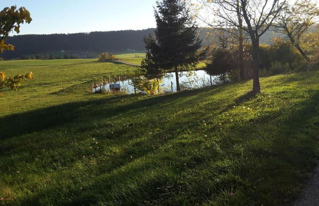 Gemutliche Wohnung in Schwenningen - Foto 37