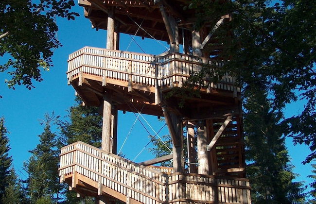 Wildnisresidenz am Nationalpark - Foto 56