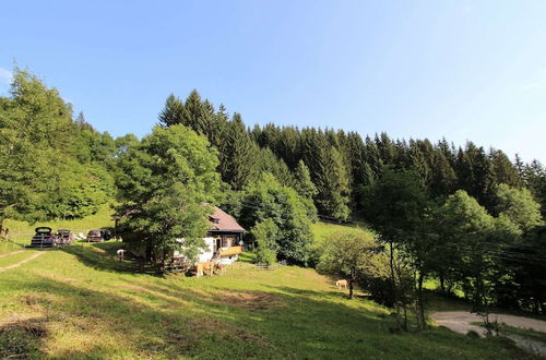 Photo 35 - Spacious Chalet with Sauna near Ski Area in Wolfsberg