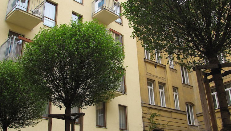 Primary image