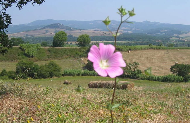 Agriturismo Le Casette - Photo 14