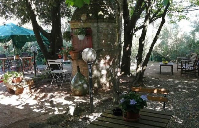 Agriturismo Le Casette - Photo 19