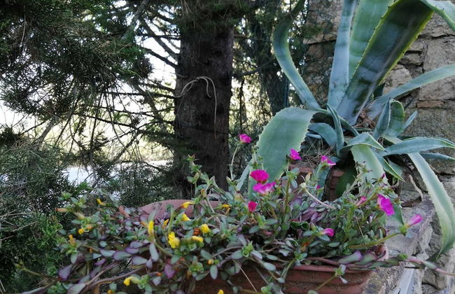 Agriturismo Le Casette - Photo 18