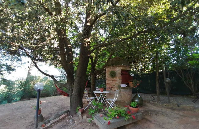 Agriturismo Le Casette - Photo 20