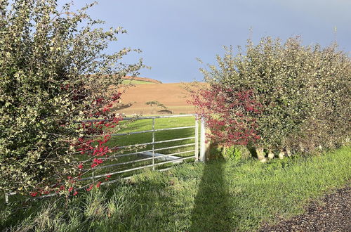 Photo 20 - Bike Shed - Beautiful 1-bed Cottage in Shorwell