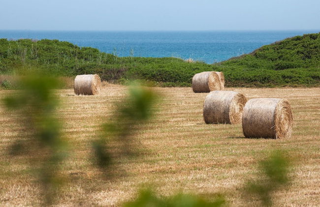 Belvilla by OYO La Villa - Foto 18