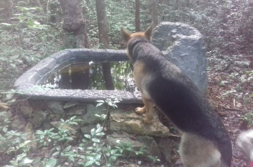 Photo 38 - Hotel y Temazcal en Solferino