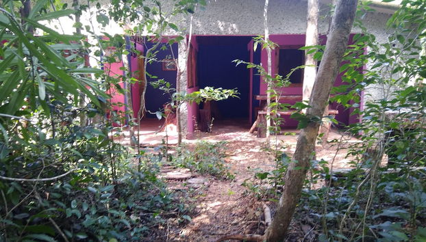 Entrada (vista interior)