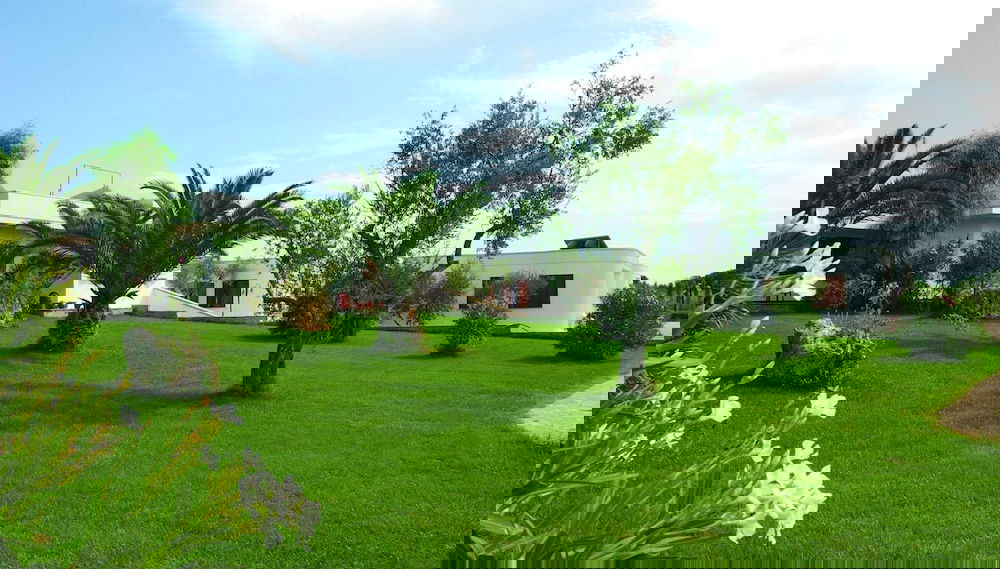 Imagem principal
