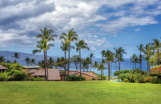 Wailea Ekahi - Foto 33