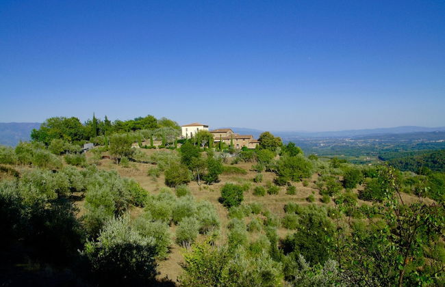 Ventena Vecchia Antico Frantoio - Foto 1