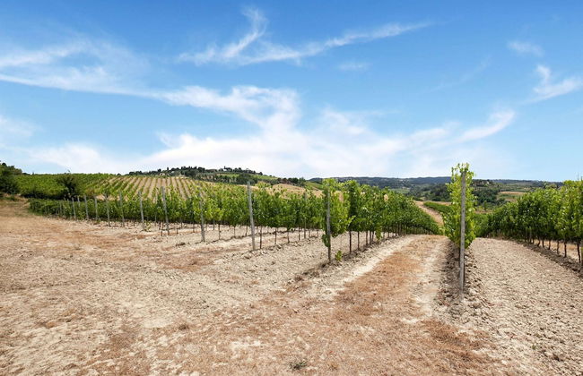 Varna Charm: Tuscan Getaway - Foto 24
