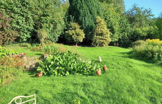 Luxurious Entire Studio in Axminster Suitable for - Photo 17