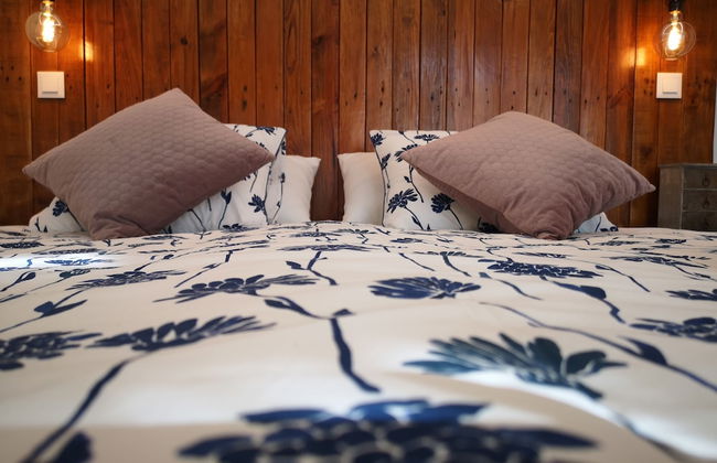 Quinta de São Tomé - Photo 5