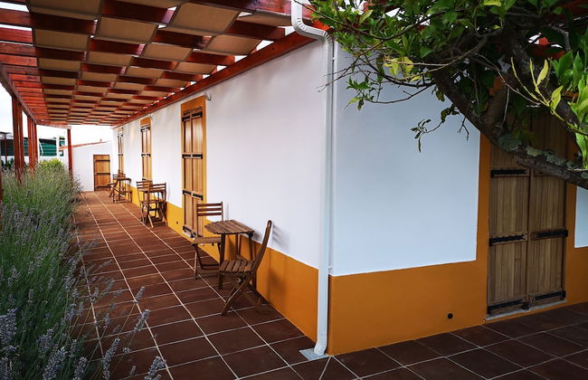 Quinta de São Tomé - Photo 55