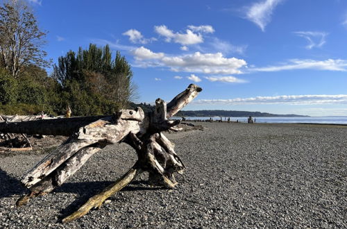 Photo 44 - Stunning House with Views of Puget Sound Ideal for Family Reunions