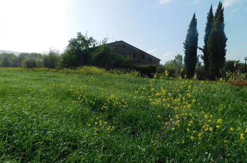 Foto 15 - Maremma 3 Apartment With big Garden and Pool