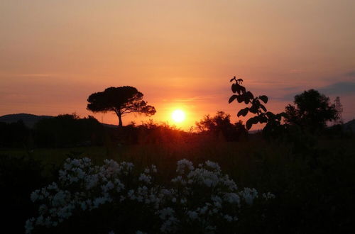 Photo 11 - Maremma 3 Apartment With big Garden and Pool