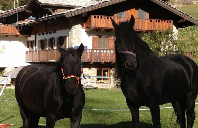 Agriturismo Le Reve - Photo 35