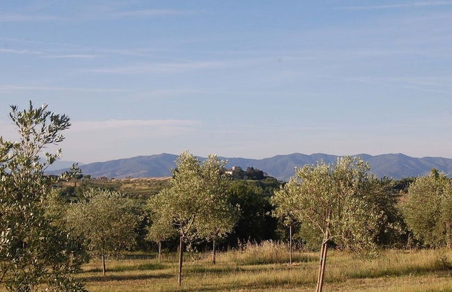 Bio Agriturismo La Spiga D'oro - Foto 30