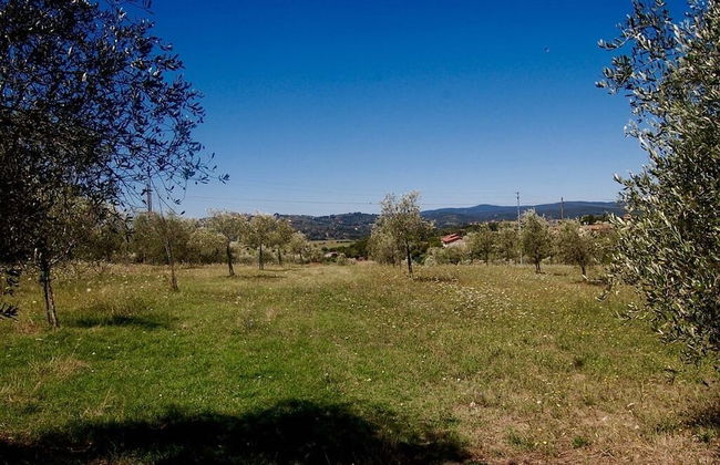 Bio Agriturismo La Spiga D'oro - Foto 36