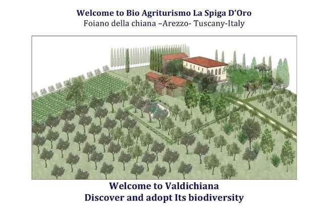 Bio Agriturismo La Spiga D'oro - Foto 19