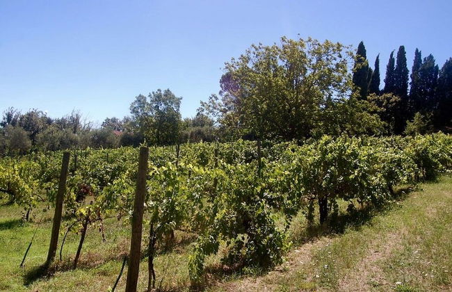Bio Agriturismo La Spiga D'oro - Foto 39
